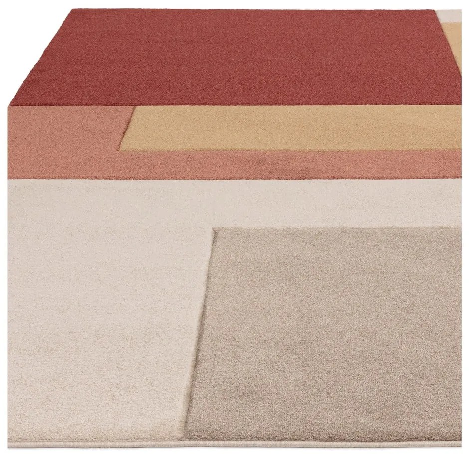 Koberec v tehlovej farbe 120x170 cm Sketch – Asiatic Carpets