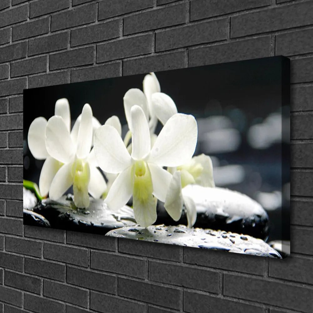 Obraz Canvas Kamene kvety orchidea 120x60 cm