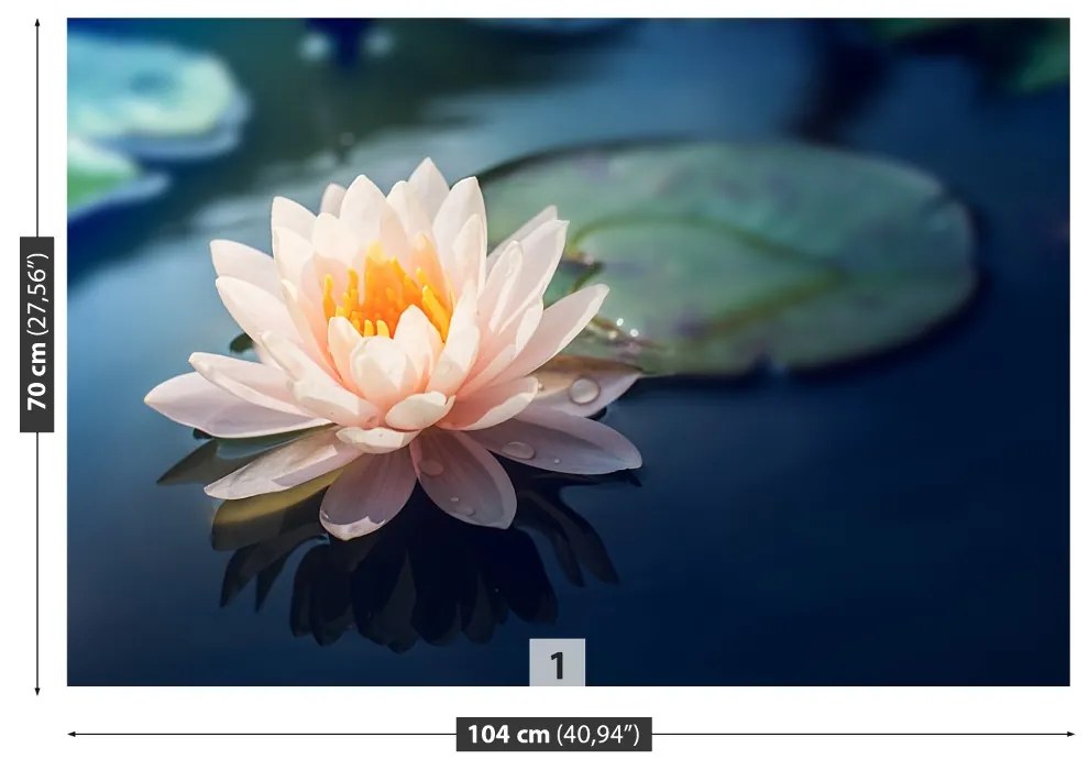 Fototapeta Vliesová Lotosový kvet rybník 312x219 cm