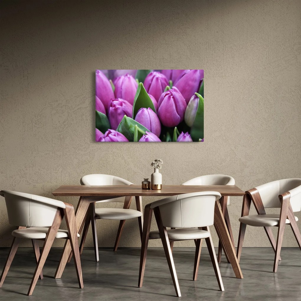 Obraz - kvety tulipánov (90x60 cm)