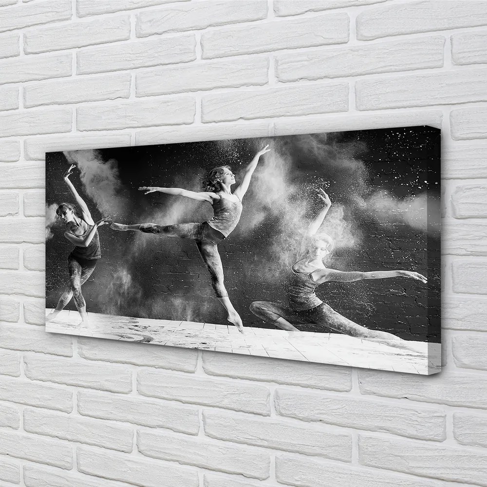 Obraz canvas Dámska Balerínky dym 140x70 cm