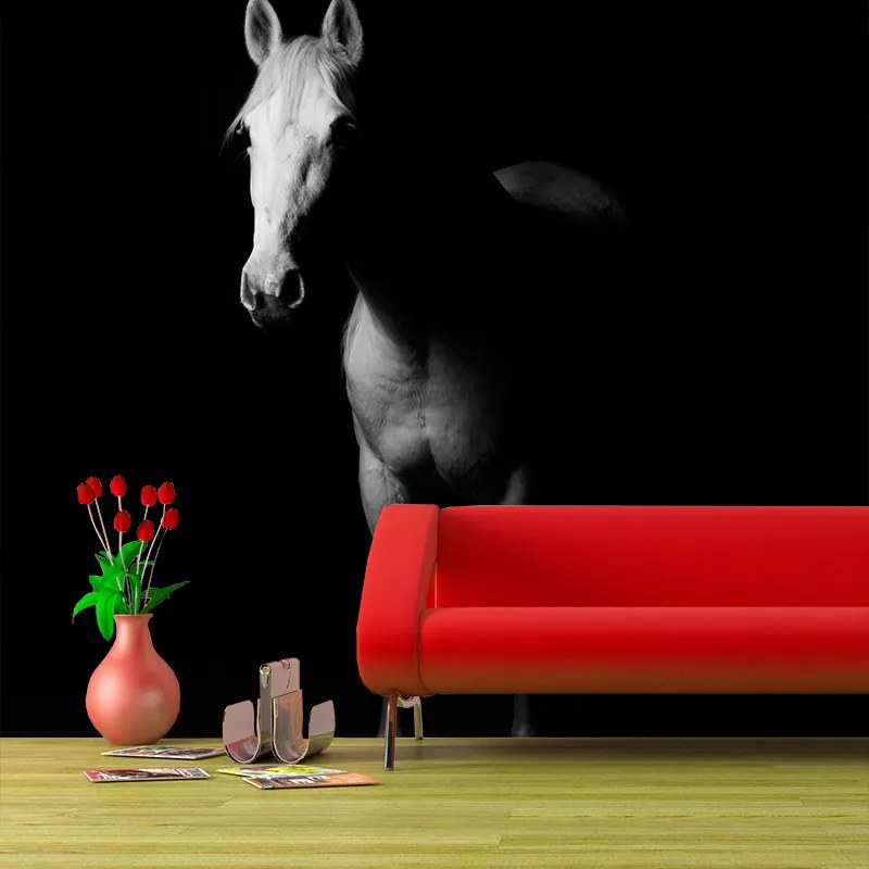 Sablio Tapeta Kôň v tieni - 336x220 cm