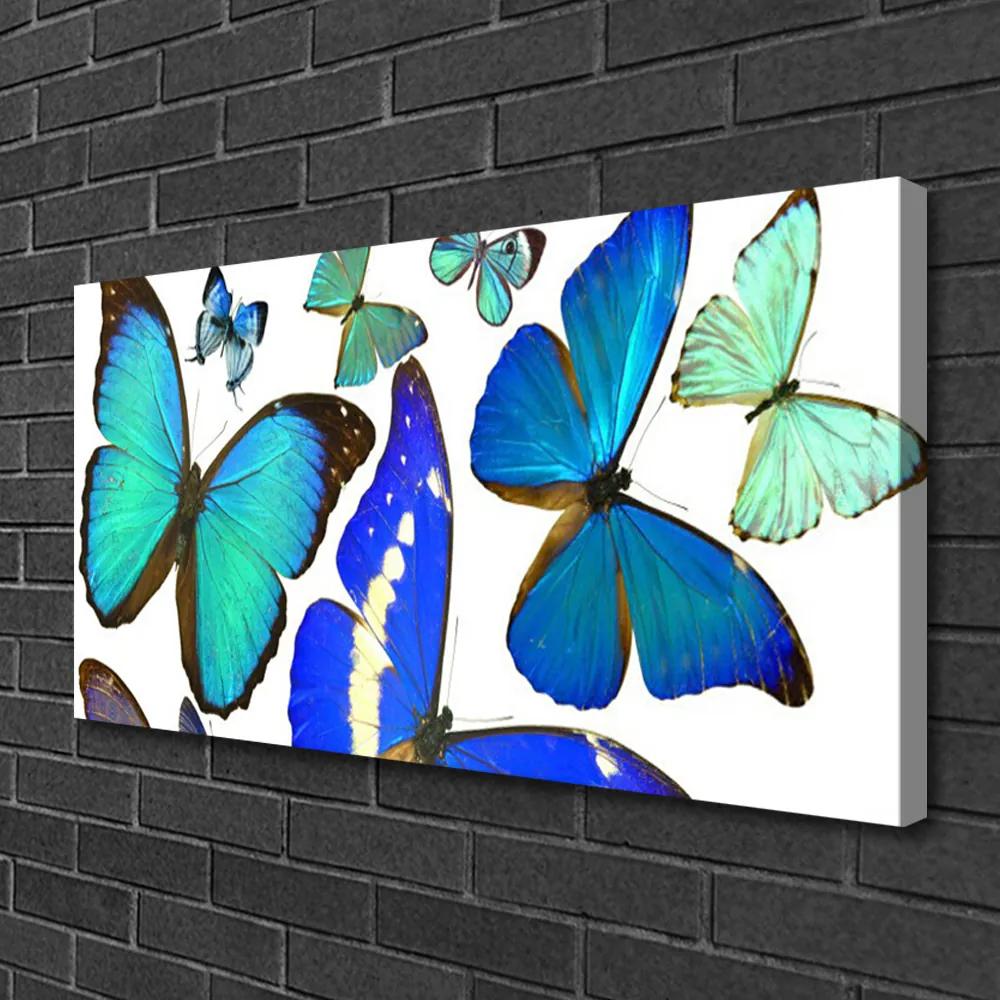 Obraz na plátne Motýle príroda 125x50 cm