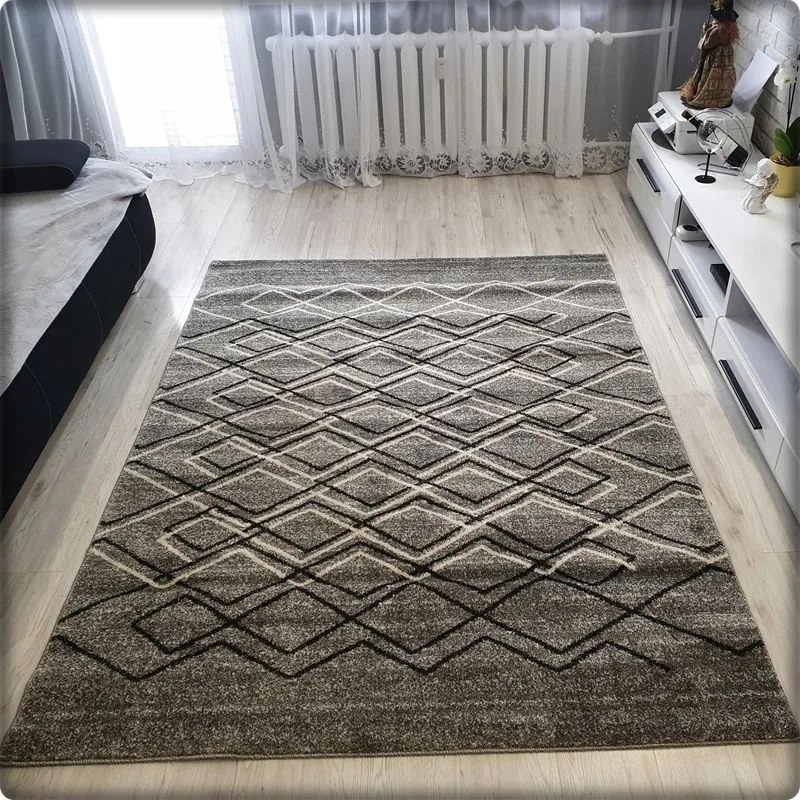 Dekorstudio Moderný koberec RIO vzor 166 sivý Rozmer koberca: 80x150cm