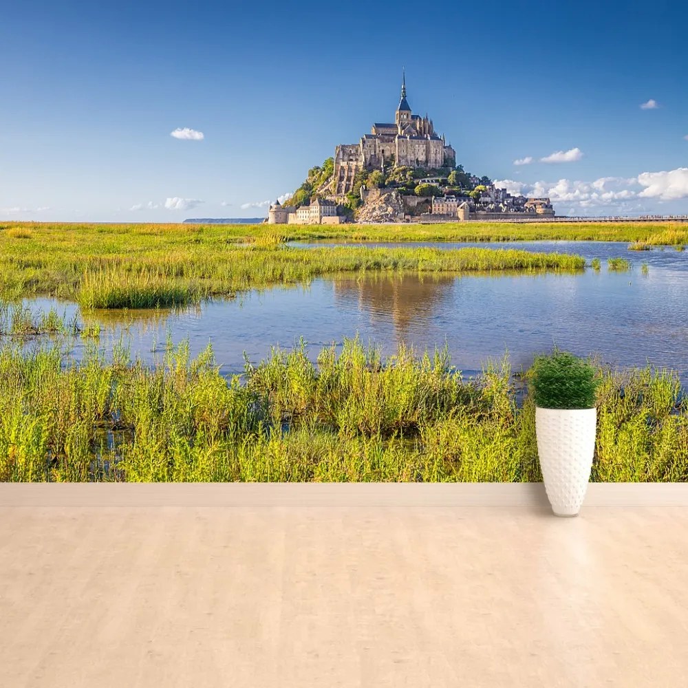 Fototapeta Vliesová Le mont saintmichel 104x70 cm