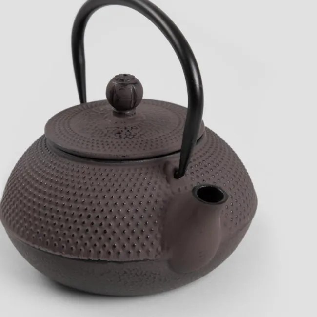 Čajník MODIG s dvoma hrnčekmi 746246 800 ml