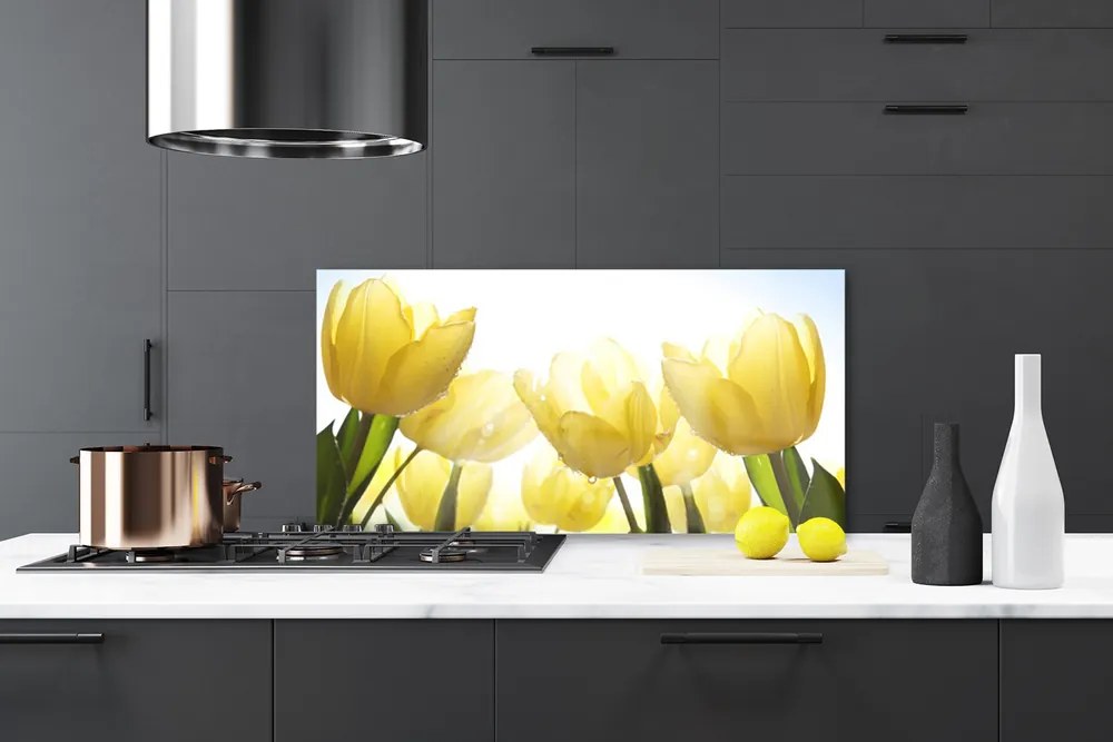 Sklenený obklad Do kuchyne Tulipány kvety lúče 100x50 cm