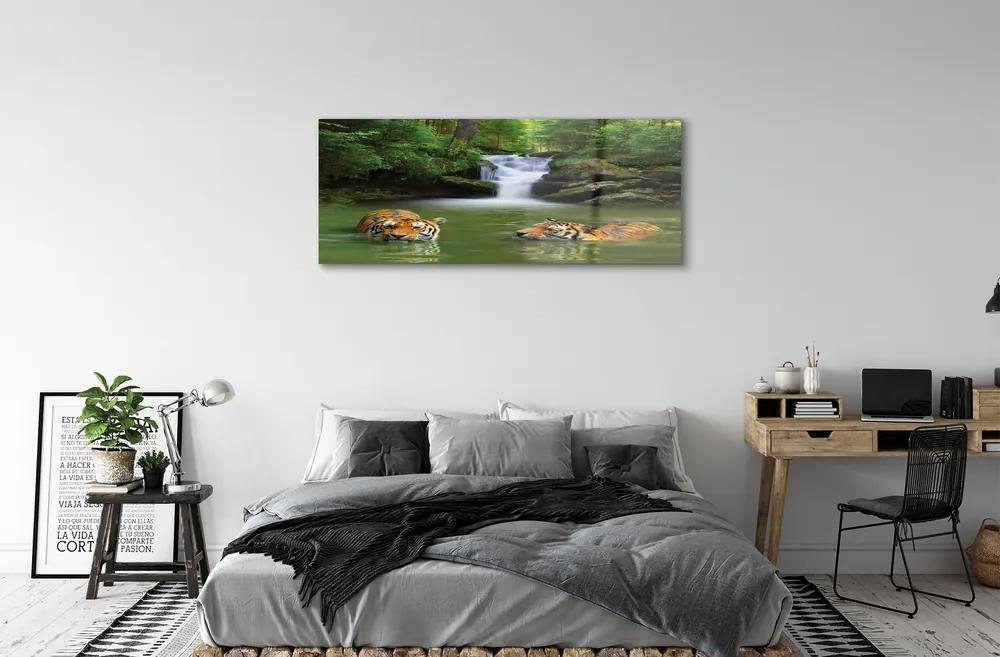 Obraz na akrylátovom skle Vodopád tigre 120x60 cm