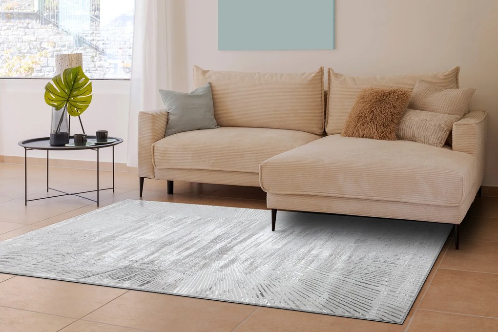 Koberec BLISS Z206AZ256 svetlosivý/sivý - Čiary, moderný, štrukturálny