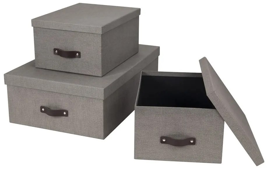 Úložné boxy s vekom v súprave 3 ks Inge – Bigso Box of Sweden
