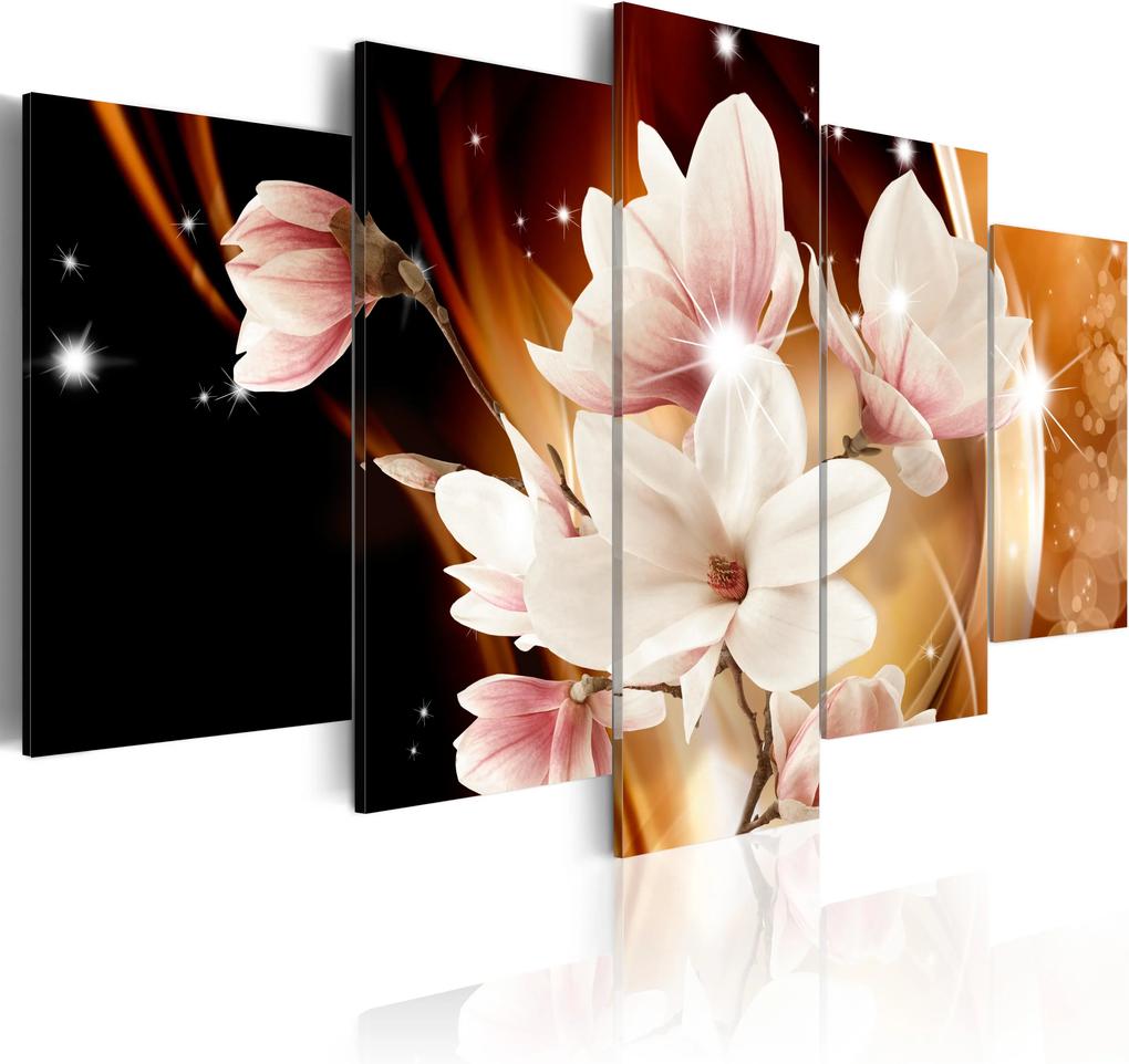 Obraz - Illumination (Magnolia) 100x50
