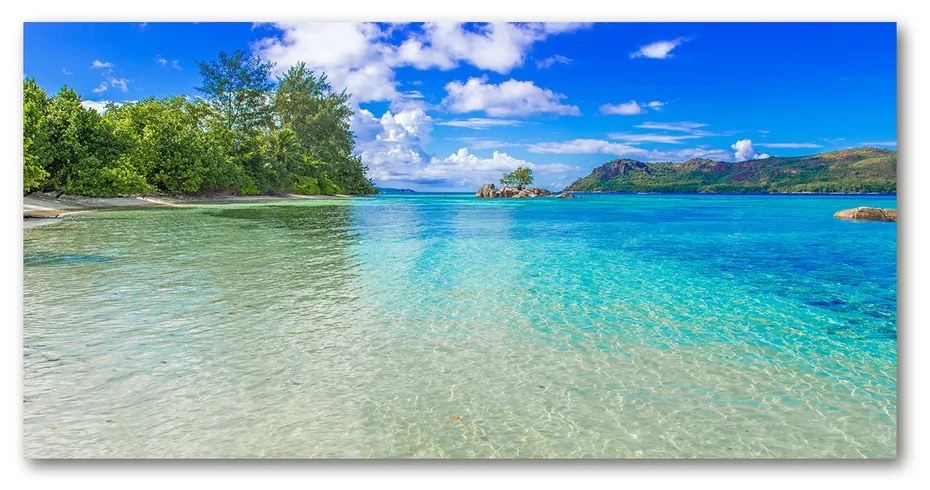 Foto obraz akrylový Pláž Seychely pl-oa-140x70-f-93635847