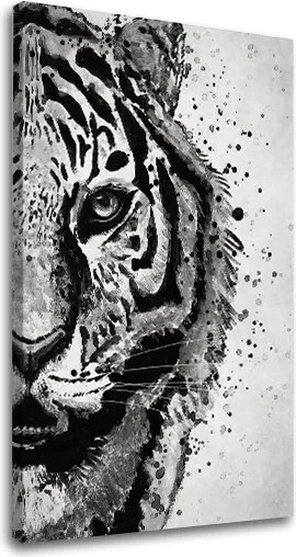 Obraz na plátne TIGER 001