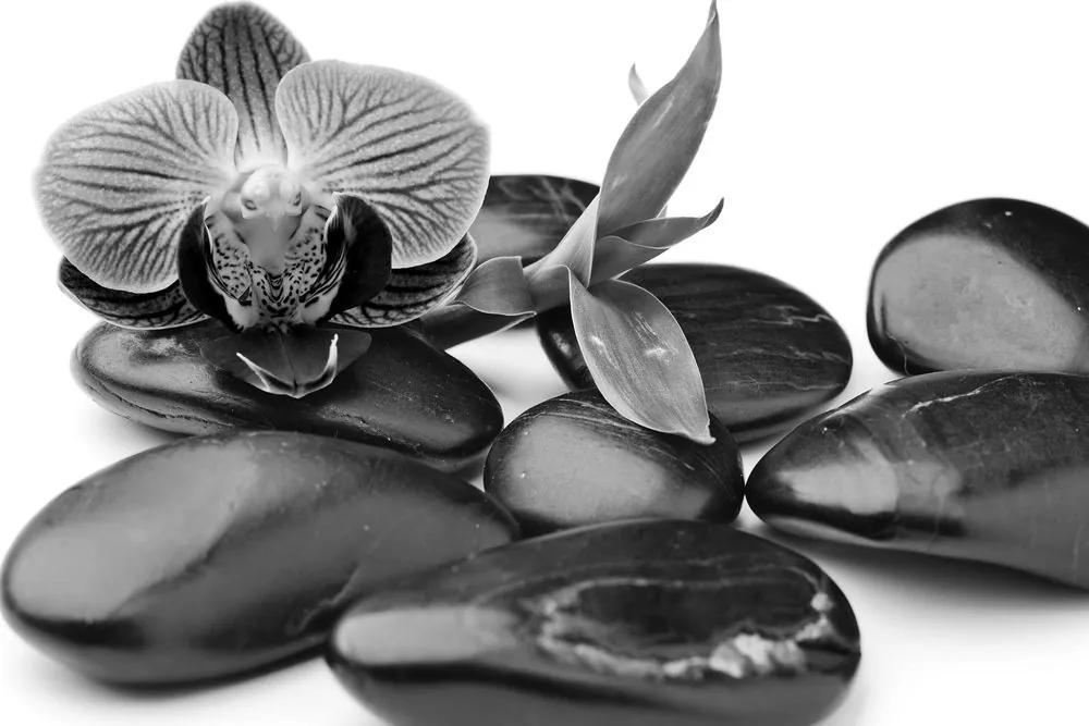 Obraz masážne wellness kamene v čiernobielom prevedení - 120x80