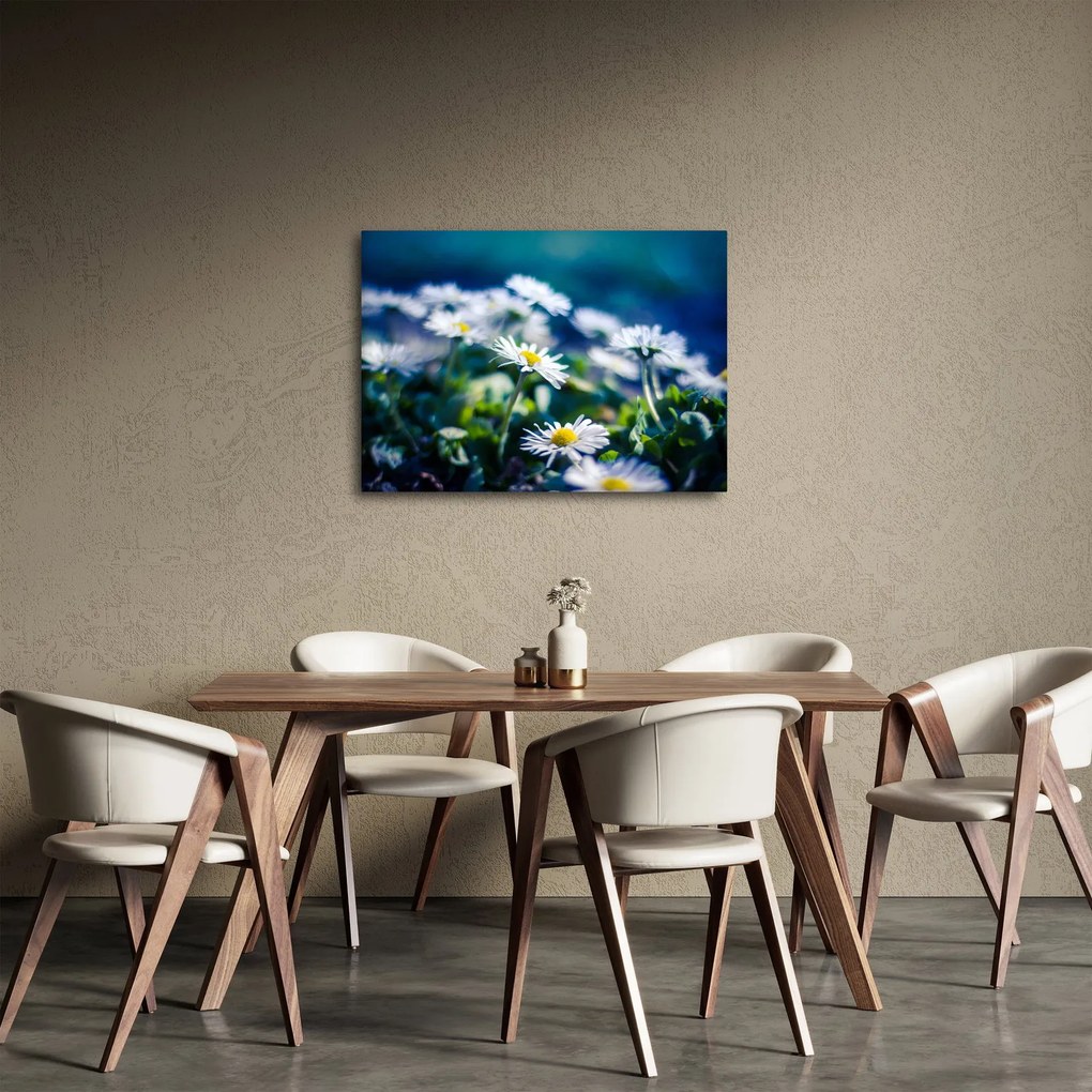 Obraz sedmokrások (70x50 cm)