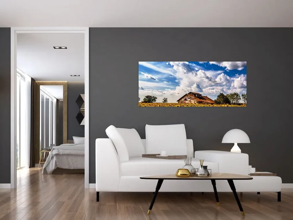 Obraz slnečnicového poľa (120x50 cm)
