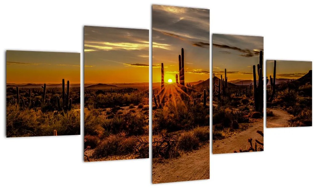 Obraz - Koniec dňa v arizonskej púšti (125x70 cm), 40 ďalších rozmerov