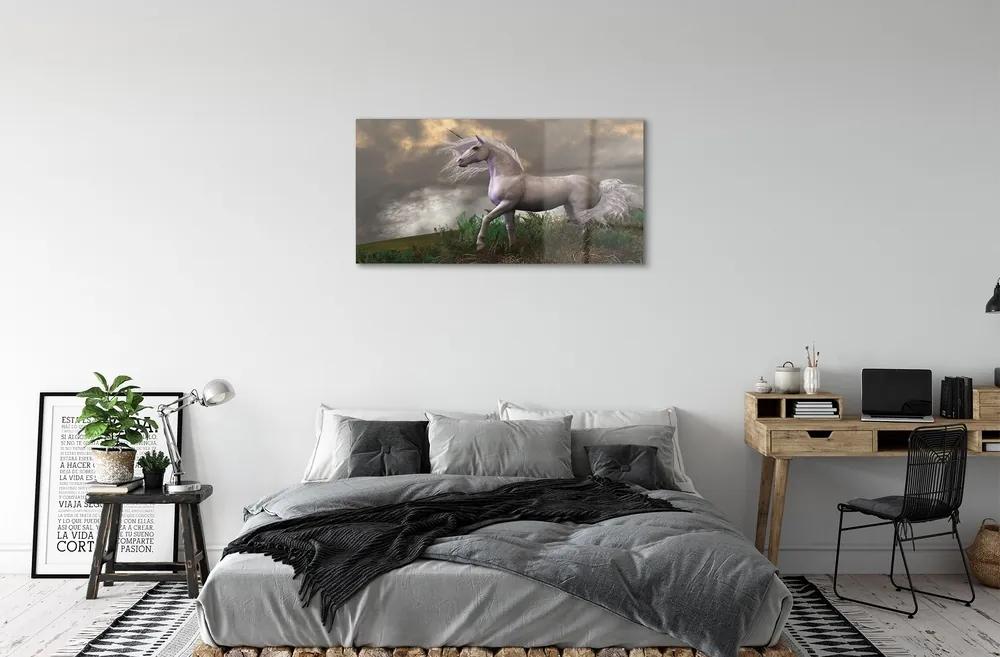 Sklenený obraz Unicorn mraky 100x50 cm