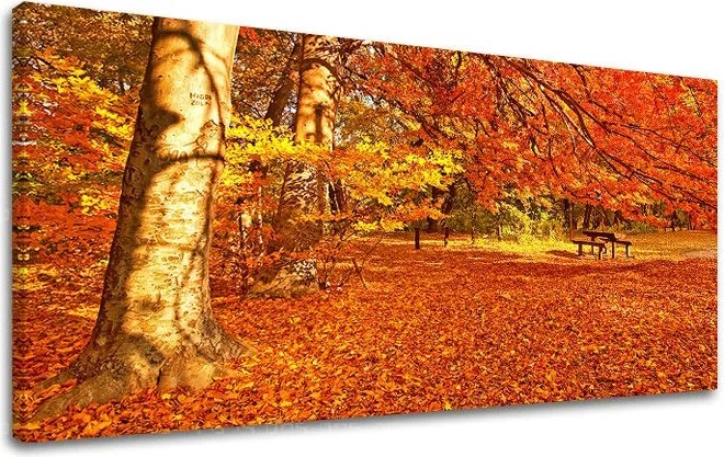 Obraz na stenu PANORÁMA STROMY ST005E13