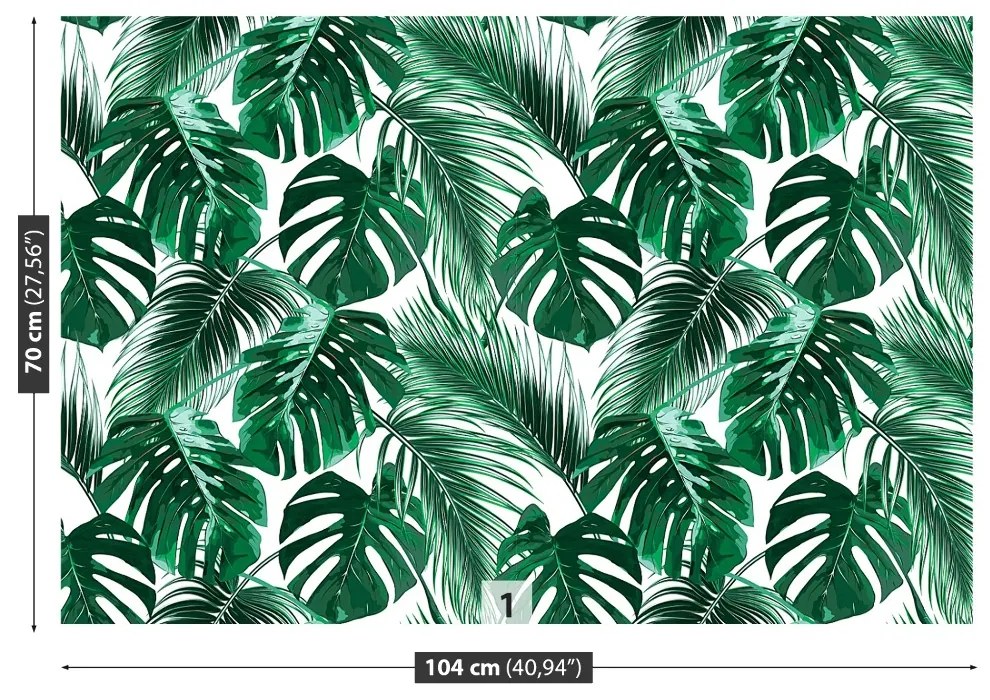 Fototapeta Vliesová Monstera deravá 416x254 cm