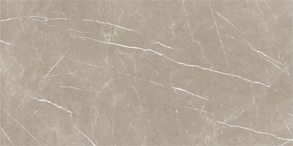 Dlažba Eternal Taupe Pulido 60x120 R