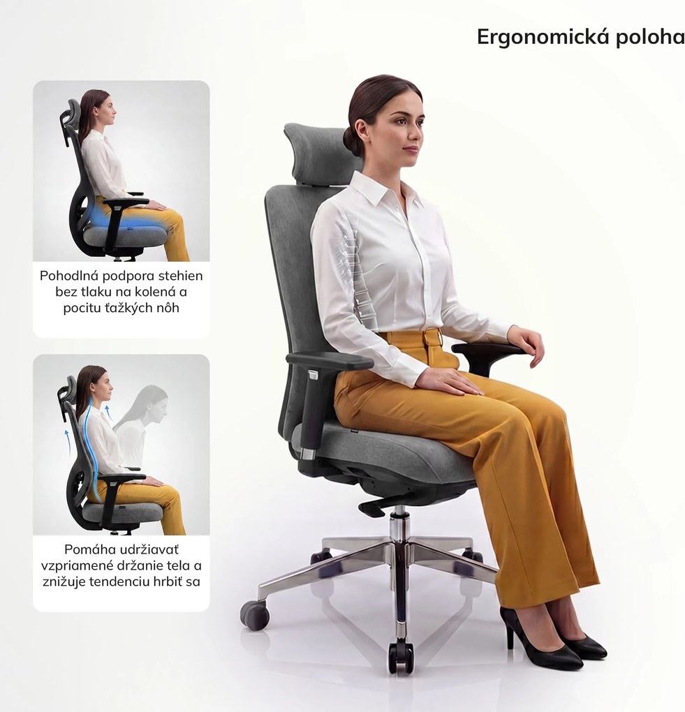 Ergonomická kancelárska stolička tmavosivá AXIS