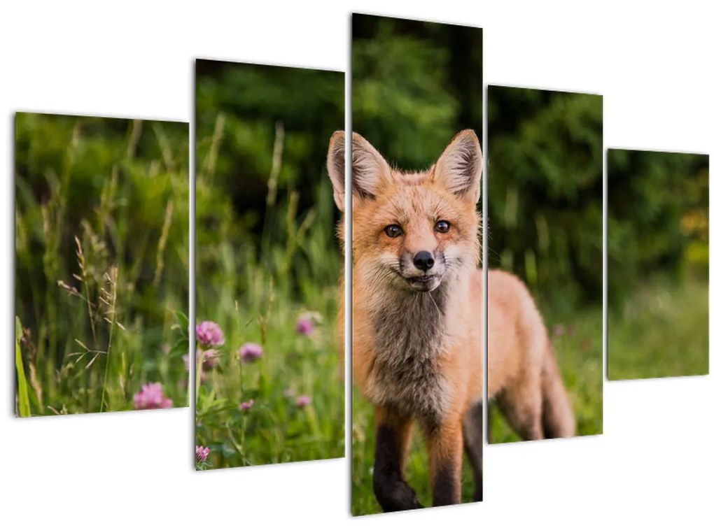 Obraz líšky (150x105 cm)
