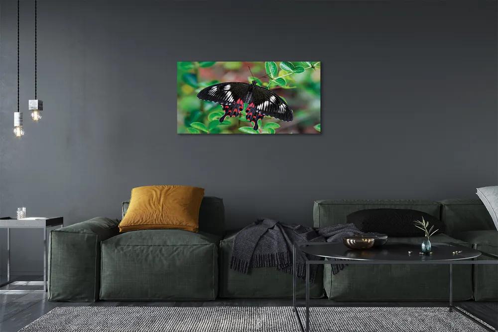 Obraz na plátne List farebný motýľ 140x70 cm
