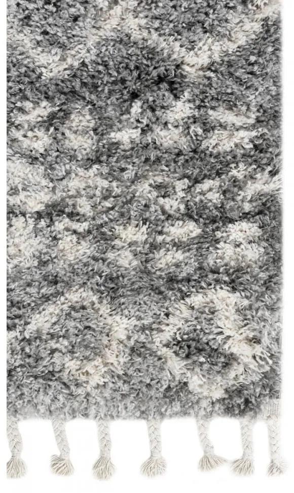Kusový koberec shaggy Apache sivý 160x229cm