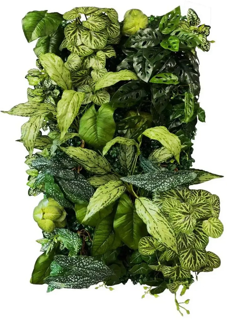 Vertical garden Coral Begonia