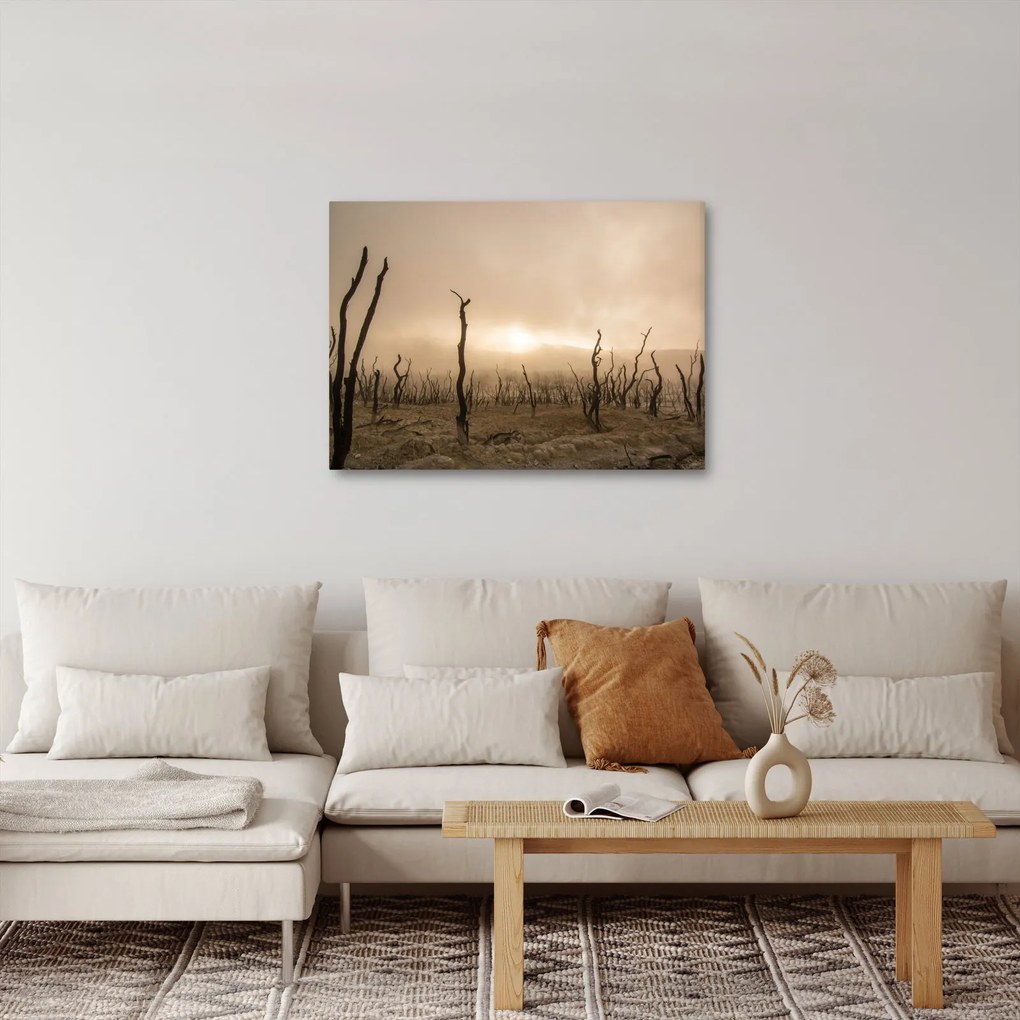 Obraz - Holé stromy (70x50 cm)