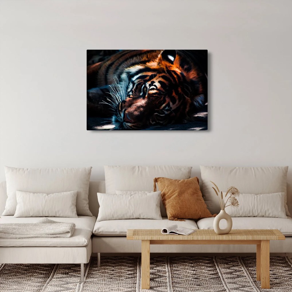 Obraz ležiaceho tigra (90x60 cm)