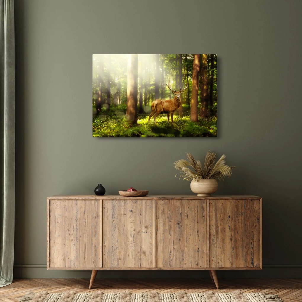 Obraz jeleňa v lese (90x60 cm)