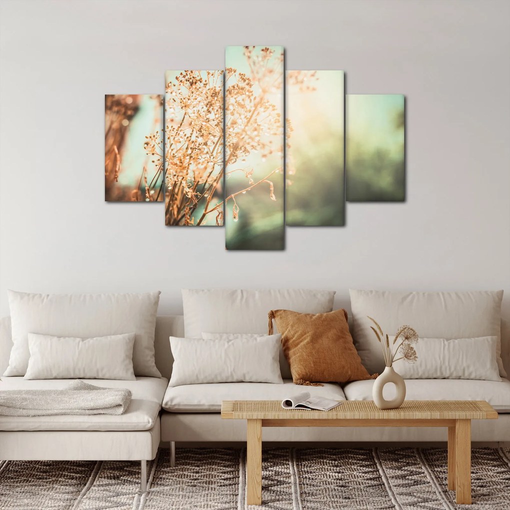 Obraz - Lúčne rastliny (150x105 cm)