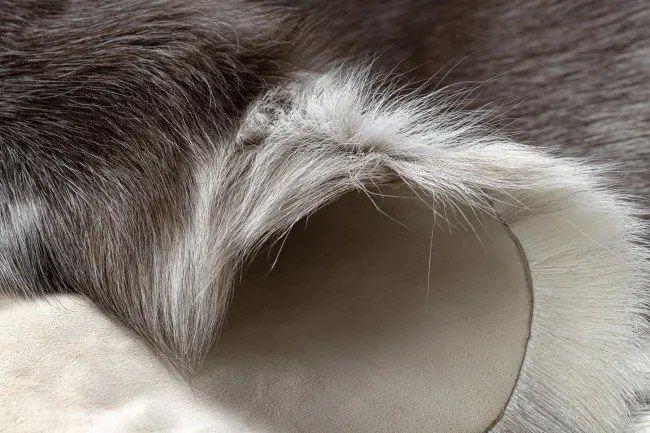 Koberec RENIFER POK014 hnedý / sivý