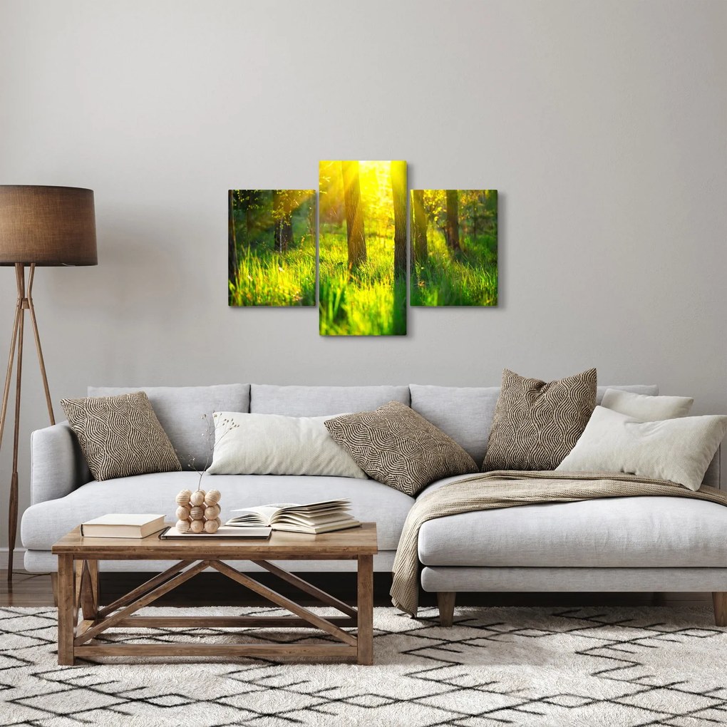 Obraz - Jarné prebúdzanie lesa (90x60 cm)