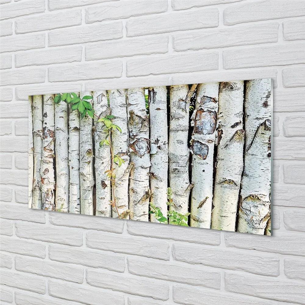 Sklenený obraz brezové lístie 120x60 cm