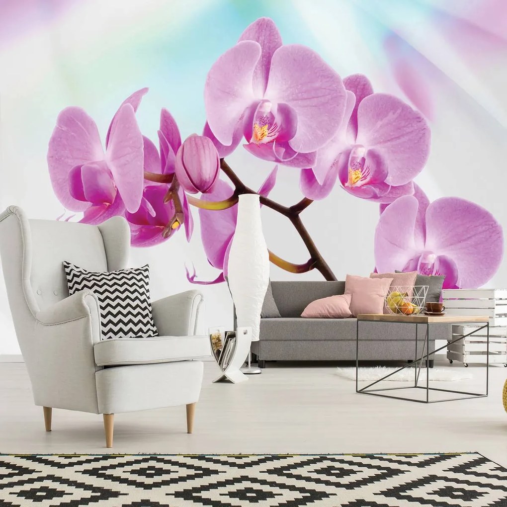 Fototapeta - Orchidea (254x184 cm)