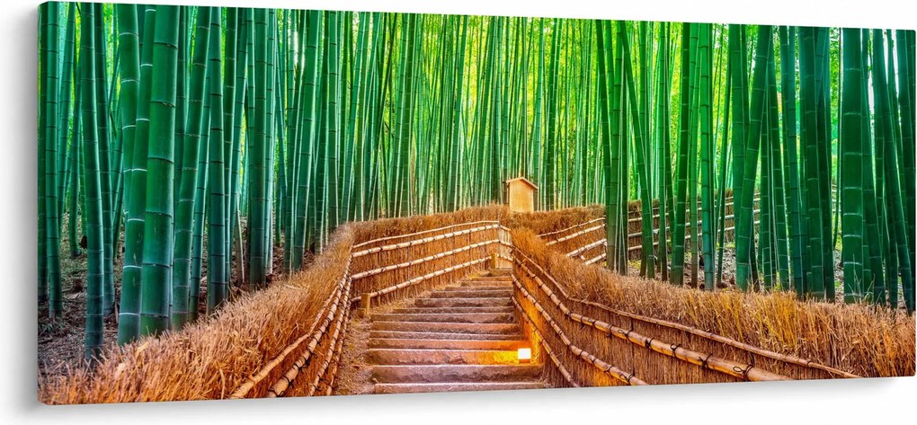 Obraz - Japonský bambusový les (120x50 cm)