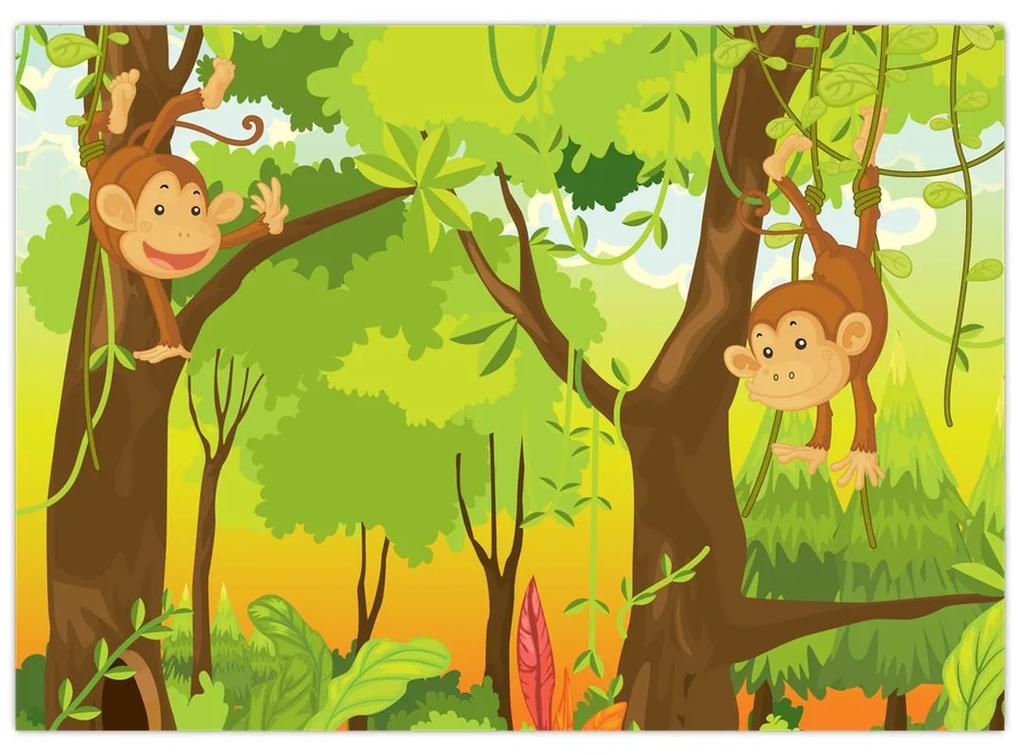 Obraz - Opičiaci (70x50 cm)