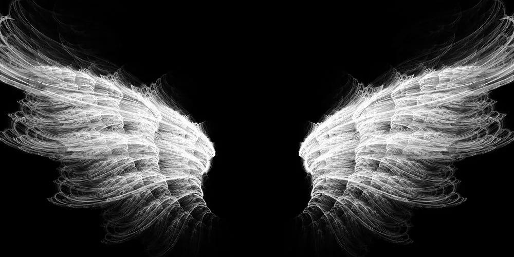 Obraz anjelské krídla v čiernobielom prevedení