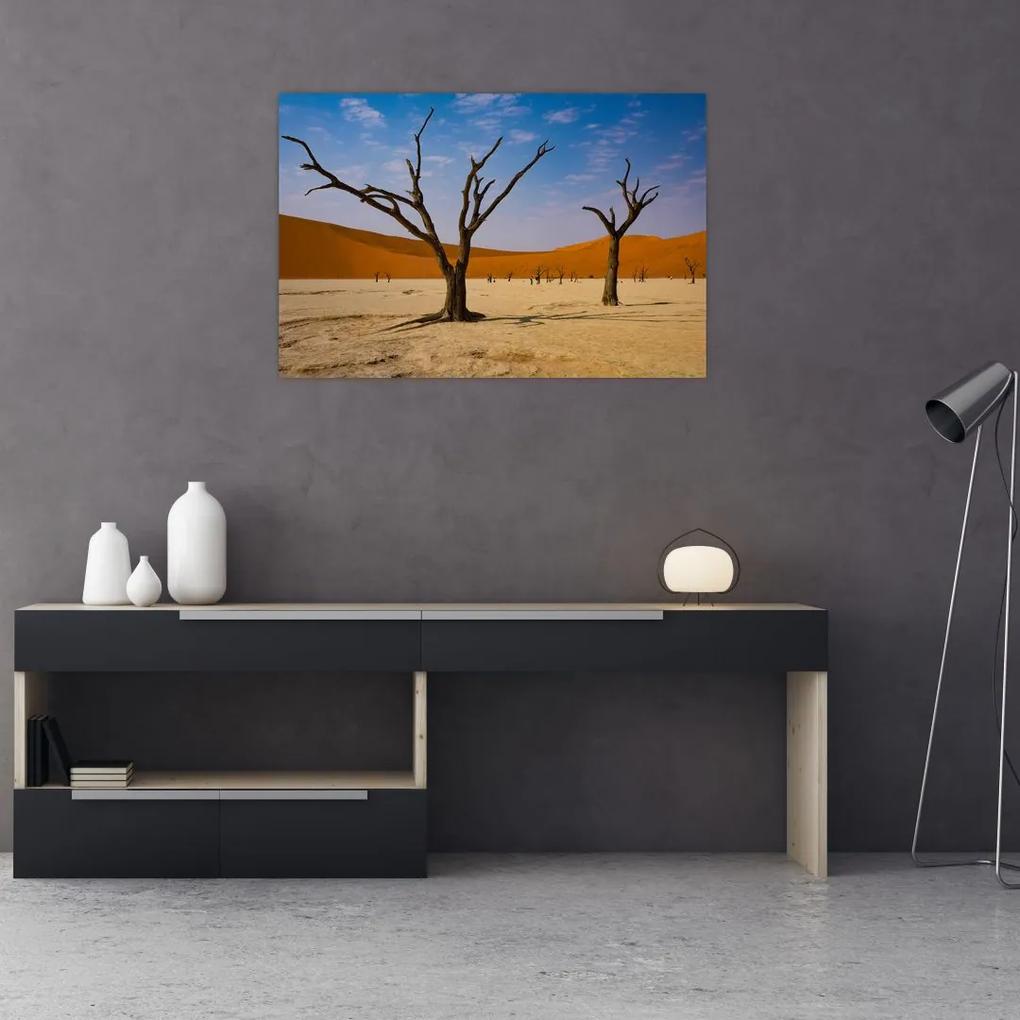 Obraz - Údolie smrti (90x60 cm)