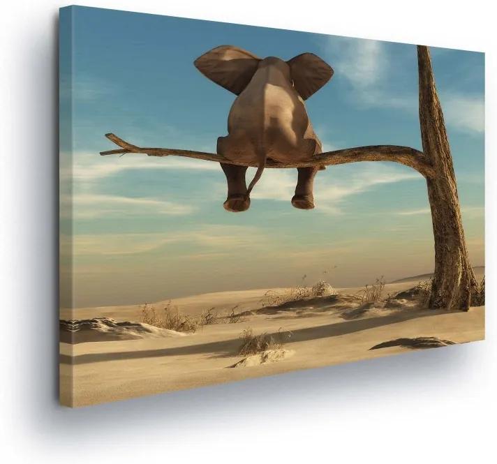 GLIX Obraz na plátne - Sitting Elephant 100x75 cm