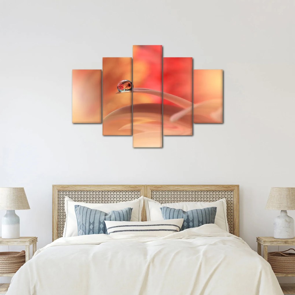 Obraz kvetinové kvapky rosy (150x105 cm)