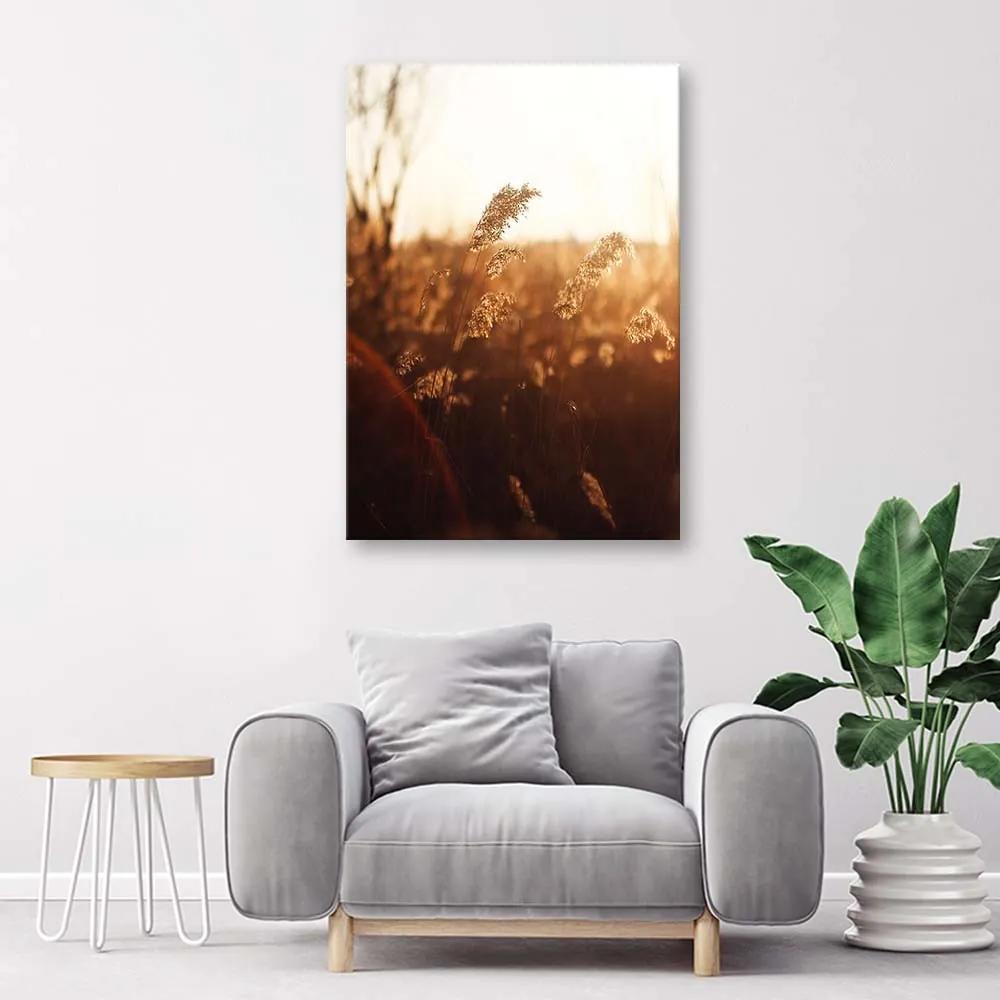Gario Obraz na plátne Lúka na slnku Rozmery: 40 x 60 cm