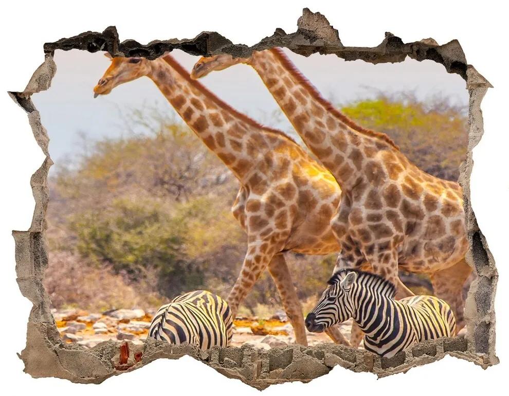 Díra 3D fototapeta nálepka Žirafy a zebry nd-k-99320619