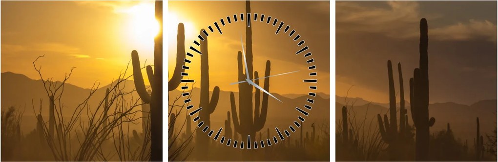 Obraz - Kaktusy Saguaro (s hodinami) (90x30 cm)