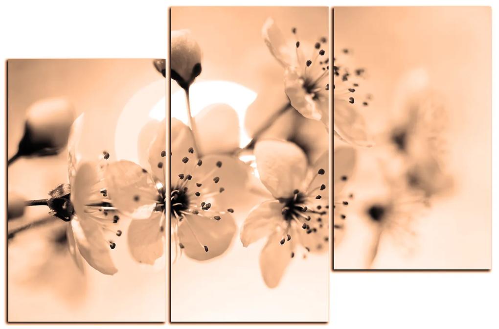Obraz na plátne - Malé kvety na vetve 1173FD (150x100 cm)
