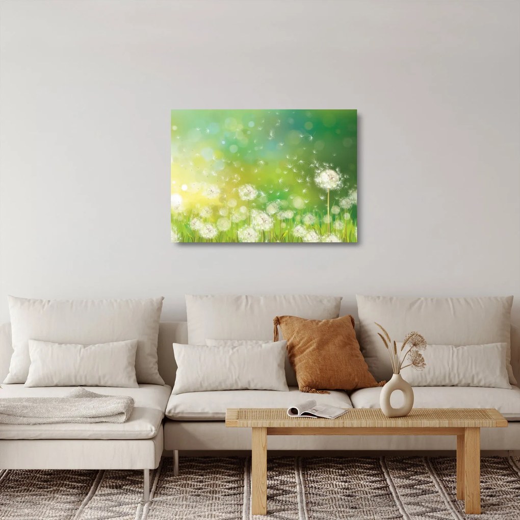 Sklenený obraz - Odkvitnuté púpavy (70x50 cm)