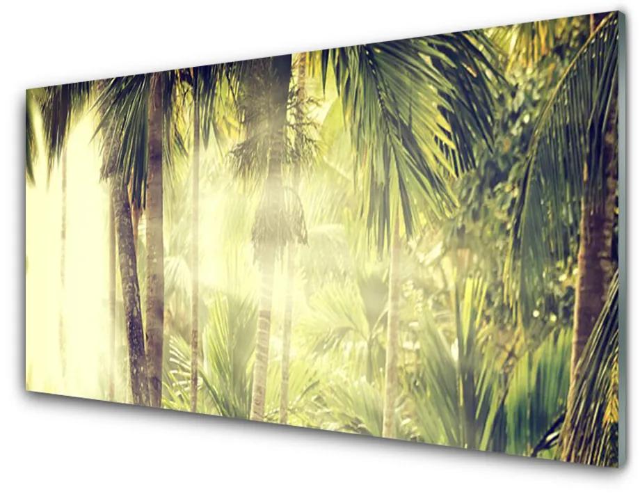 Sklenený obklad Do kuchyne Les palmy stromy príroda 100x50 cm